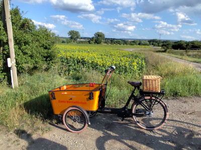 Lastenrad